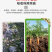 糖醇钙镁硼锌铁叶面肥蔬菜果树防裂中微量元素水溶肥料通用型