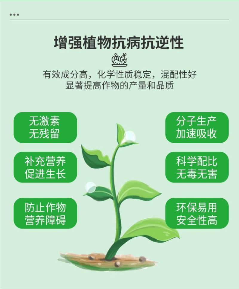 糖醇钙镁硼锌铁叶面肥蔬菜果树防裂中微量元素水溶肥料通用型