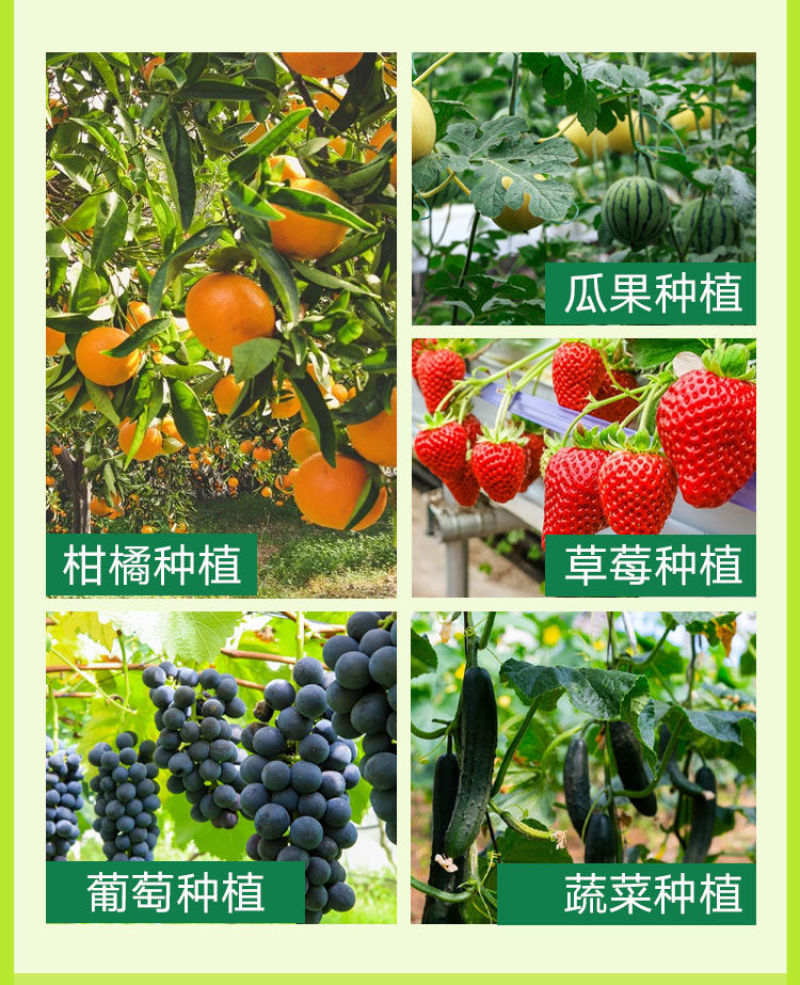 钙镁硼锌铁钾中量元素水溶肥作物通用叶面肥果树蔬菜农用水溶