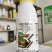 杀菌剂唑醚·氟环唑炭疽病白粉病锈病叶斑病稻瘟病黑星病持