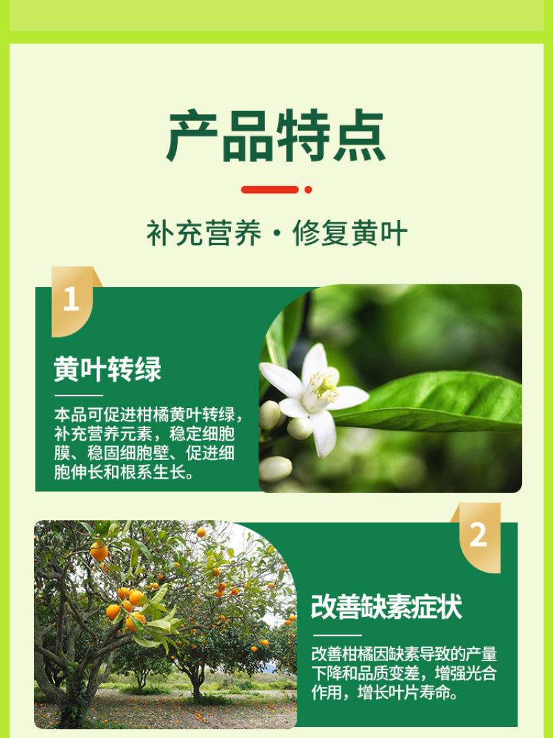 黄化病专用肥黄叶卷叶黄斑黄龙病果树橙柑橘桔树通用
