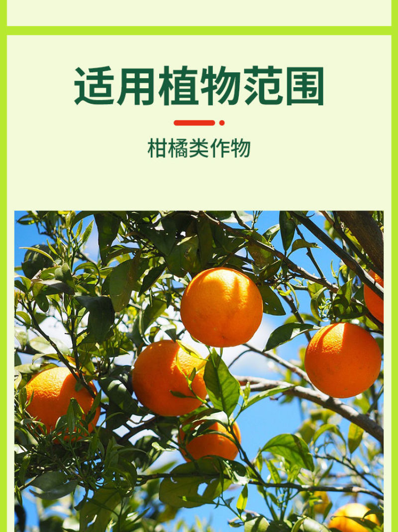 黄化病专用肥黄叶卷叶黄斑黄龙病果树橙柑橘桔树通用
