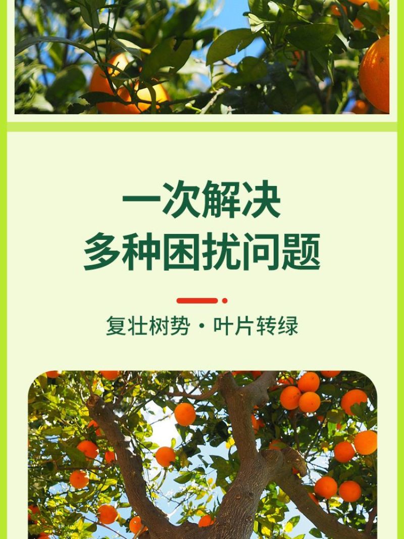 黄化病专用肥黄叶卷叶黄斑黄龙病果树橙柑橘桔树通用