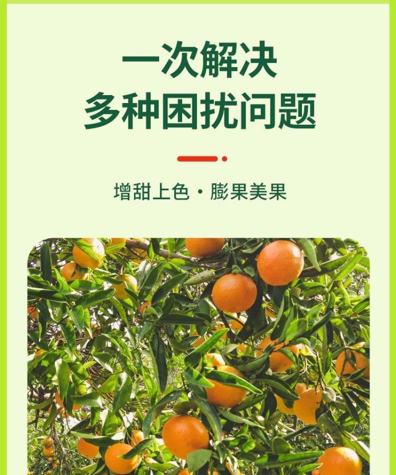 橙子膨大剂增甜上色膨果素保花保果防裂果防畸形橙子叶面肥增
