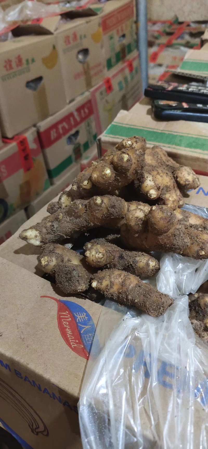 {推荐}产地直发，存活率高，提供技术支持，欢迎来电