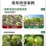 奥丰酶解鱼蛋白正品有机水溶肥农用果树蔬菜花卉生根壮苗保花