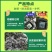 柑橘防晒涂白剂果树柑果沃柑树干涂白通用防裂果防晒防虫补钙