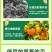 柑橘防晒涂白剂果树柑果沃柑树干涂白通用防裂果防晒防虫补钙