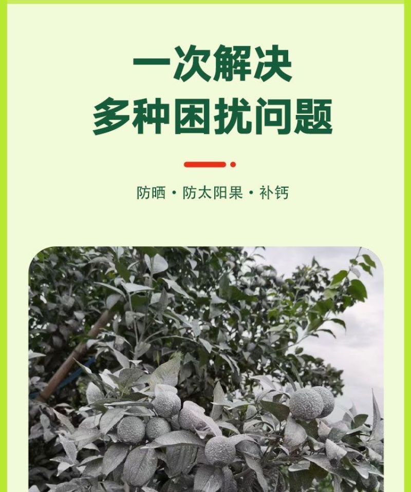 柑橘防晒涂白剂果树柑果沃柑树干涂白通用防裂果防晒防虫补钙