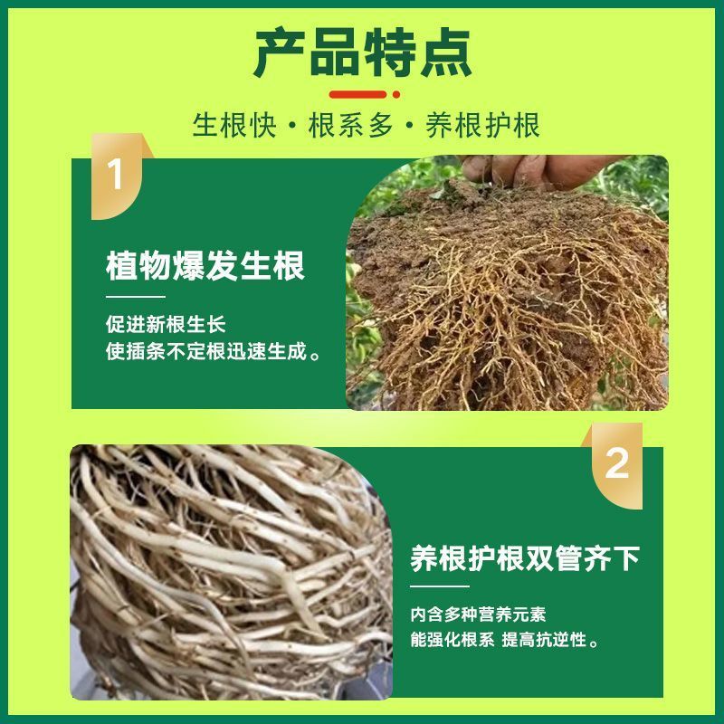 根多多根壮苗剂生根液含氨基酸绿叶防治根腐增产水溶施肥种植