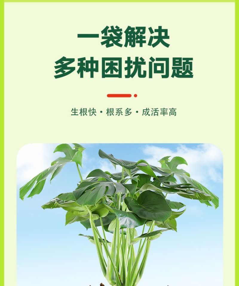 根多多根壮苗剂生根液含氨基酸绿叶防治根腐增产水溶施肥种植