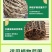 根多多根壮苗剂生根液含氨基酸绿叶防治根腐增产水溶施肥种植