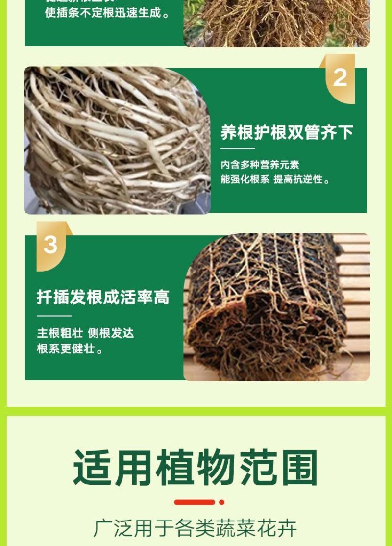 根多多根壮苗剂生根液含氨基酸绿叶防治根腐增产水溶施肥种植