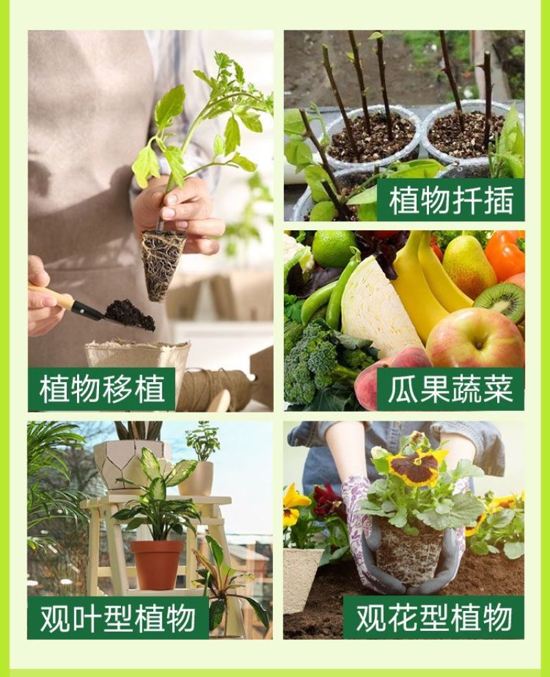 根多多根壮苗剂生根液含氨基酸绿叶防治根腐增产水溶施肥种植