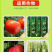 根腐克星根腐病专用药辣椒草莓蔬菜果树预防烂根抑制剂微生物
