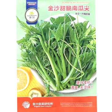金沙甜脆南瓜尖种子南瓜苗种子专吃南瓜茎叶品种侧蔓多