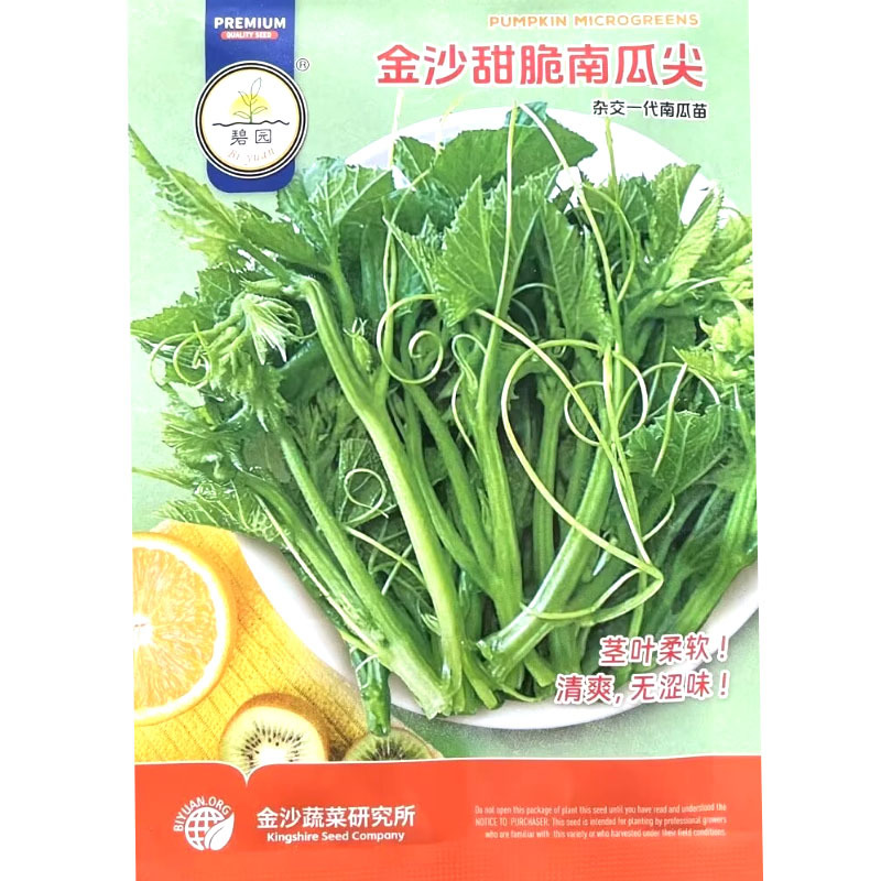 金沙甜脆南瓜尖种子南瓜苗种子专吃南瓜茎叶品种侧蔓多