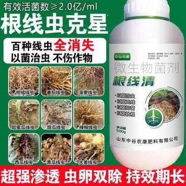 根结线虫专用药淡紫紫孢菌长枝木霉菌根线虫根瘤菌微生物菌根