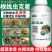 根结线虫专用药淡紫紫孢菌长枝木霉菌根线虫根瘤菌微生物菌根