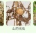 根结线虫专用药淡紫紫孢菌长枝木霉菌根线虫根瘤菌微生物菌根