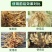 根结线虫专用药淡紫紫孢菌长枝木霉菌根线虫根瘤菌微生物菌根