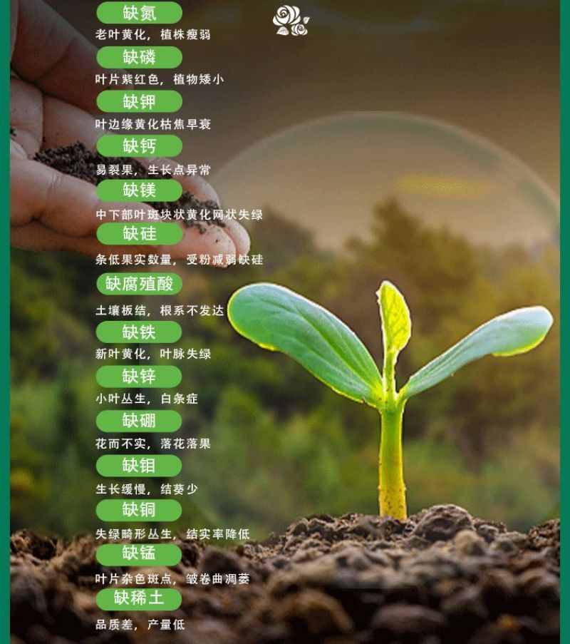 果实膨大剂膨果素柑橘葡萄桃子李子苹果增产膨大素果大一号一