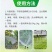 果园突击队果树清园清棚微生物菌剂提高果树免疫增强树势