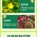 甲壳素海藻精钾冲施肥桶装水溶肥草莓膨果树生根壮苗有机肥料