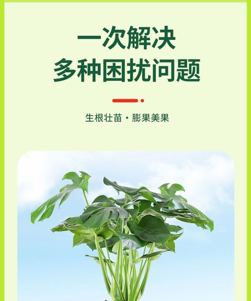 甲壳素海藻精钾冲施肥桶装水溶肥草莓膨果树生根壮苗有机肥料