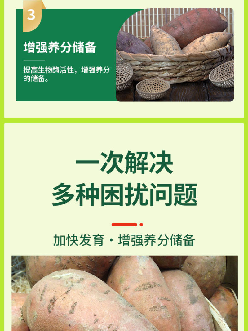 红薯宝宝叶面肥番薯专用控旺膨大素防裂果补钙镁防畸型地瓜水
