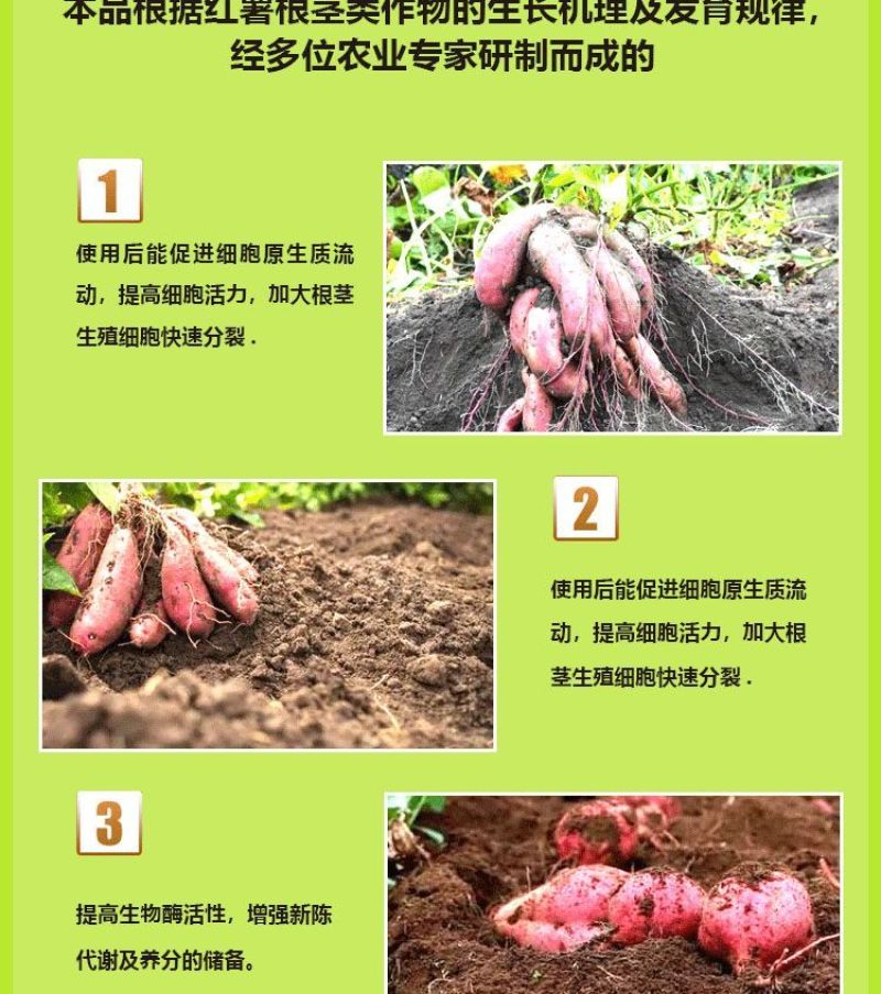 红薯控旺膨大素地下根茎专用地下猛长增产氨基酸叶面肥膨大剂
