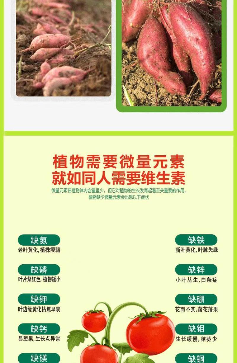 红薯控旺膨大素地下根茎专用地下猛长增产氨基酸叶面肥膨大剂