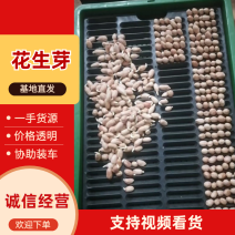 花生芽产地直发真空包装也有欢迎详情联系
