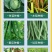 黄枯原粉复合微生物菌剂农用新型杀菌剂叶面肥枯萎立枯炭疽