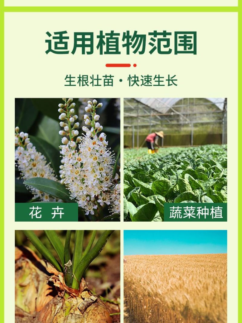 植物活力素盆栽园艺活力素天然营养液植物通用型生根促水