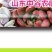植物活力素盆栽园艺活力素天然营养液植物通用型生根促水