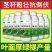 韭菜粗嫩绿韭菜专用叶面肥韭菜粗壮嫩绿生根壮苗抗倒伏增产水