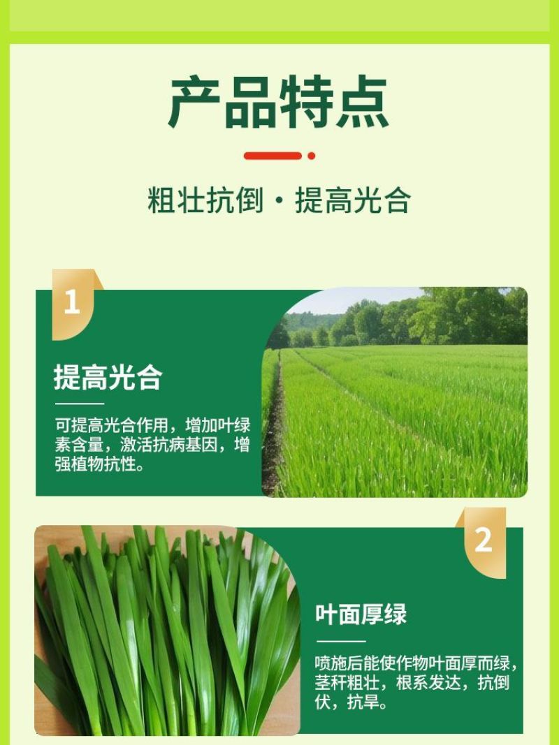 韭菜粗嫩绿韭菜专用叶面肥韭菜粗壮嫩绿生根壮苗抗倒伏增产水