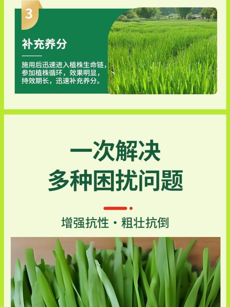 韭菜粗嫩绿韭菜专用叶面肥韭菜粗壮嫩绿生根壮苗抗倒伏增产水
