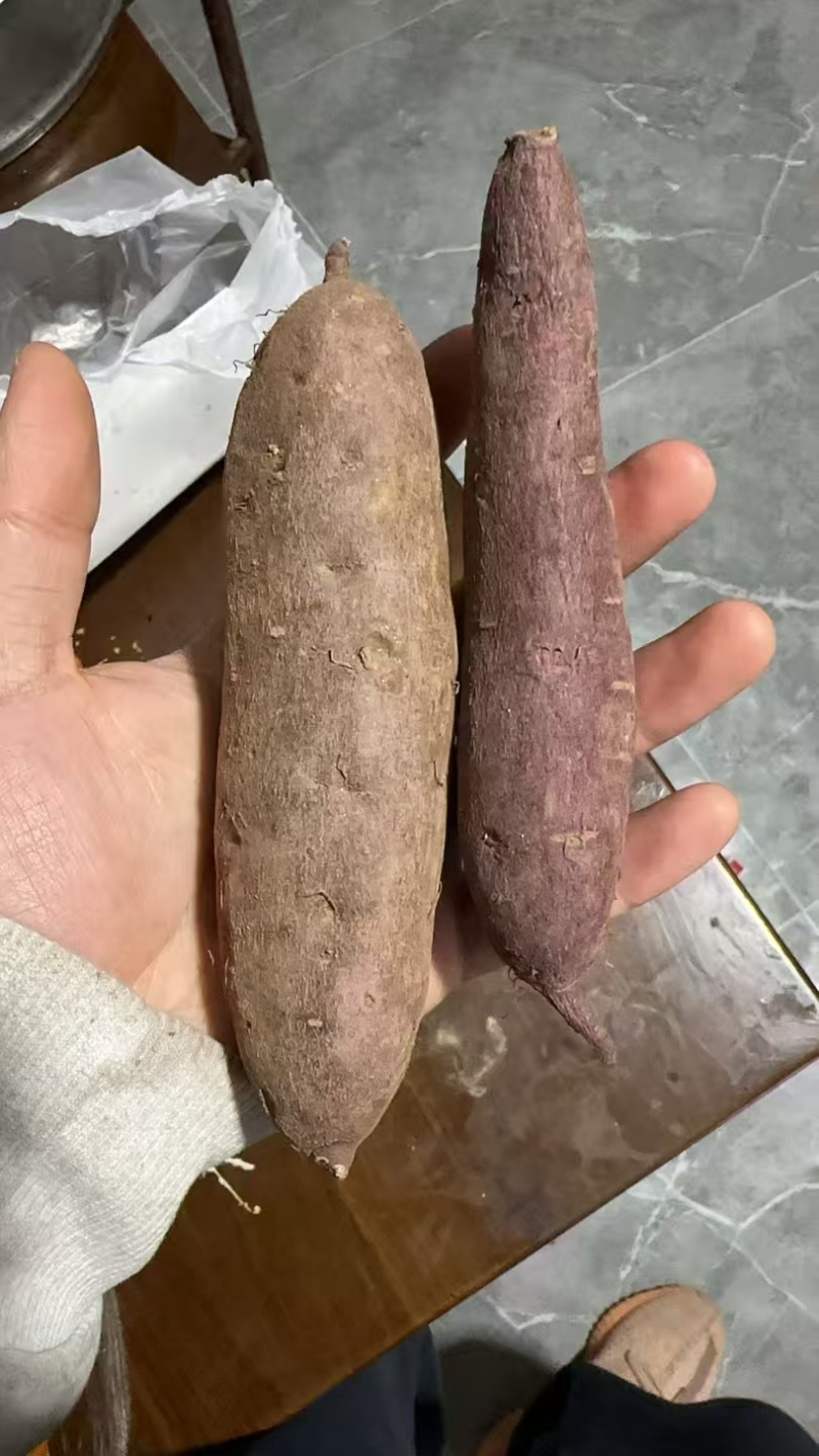 榴莲蜜薯优质红薯软糯香甜基地直发供应市场电商商超
