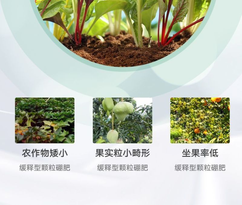 颗粒硼柑橘果树玉米小麦大豆槟榔通用底肥科技缓释硼颗粒硼肥