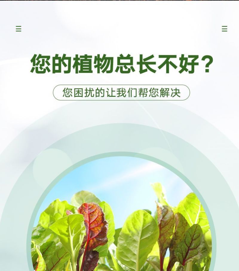 颗粒硼柑橘果树玉米小麦大豆槟榔通用底肥科技缓释硼颗粒硼肥