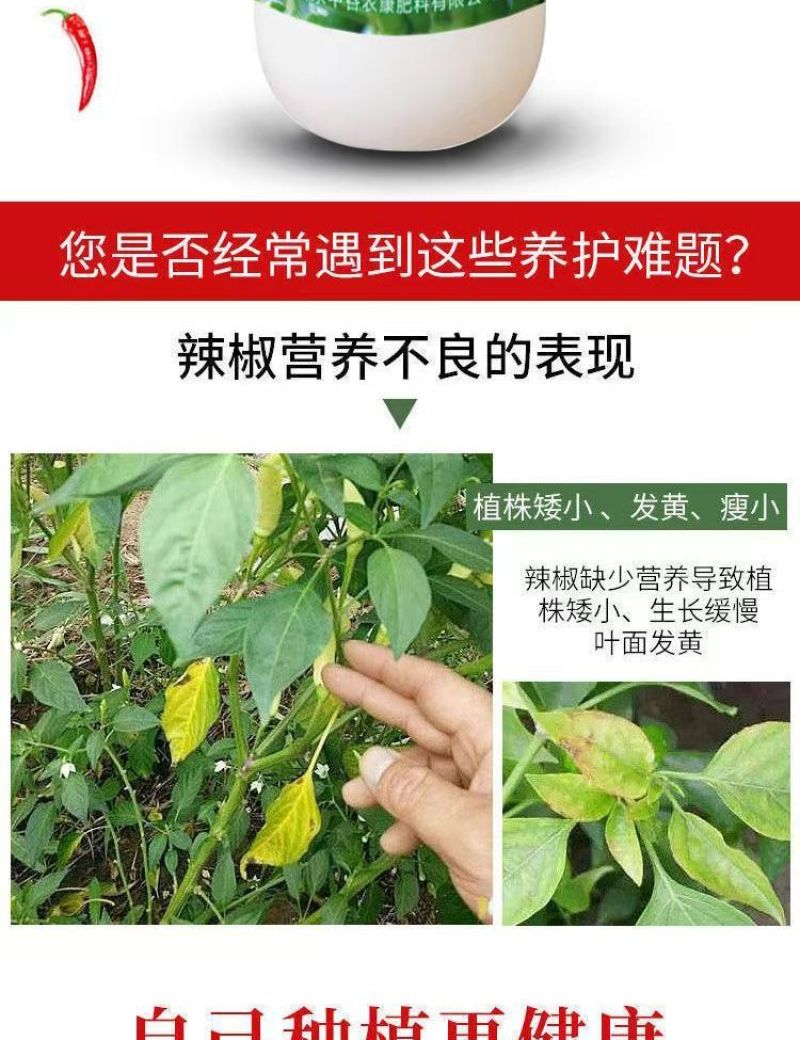 辣椒增产肥料保花保果保叶三不落膨大拉直素灵增长辣椒专用