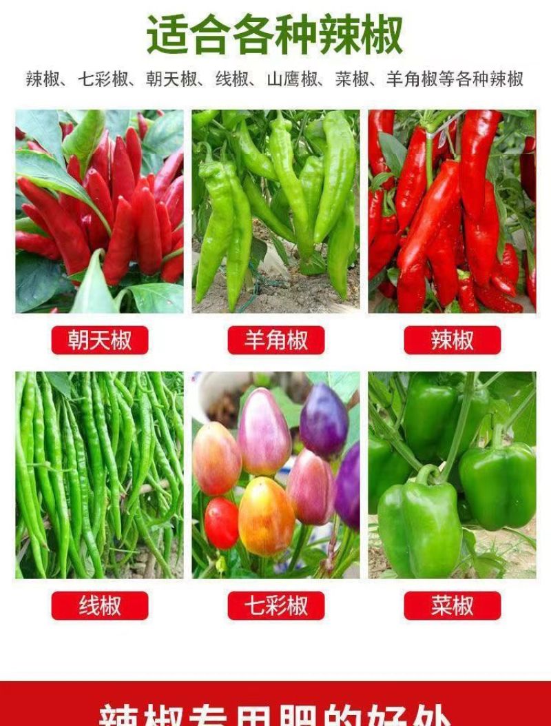 辣椒增产肥料保花保果保叶三不落膨大拉直素灵增长辣椒专用