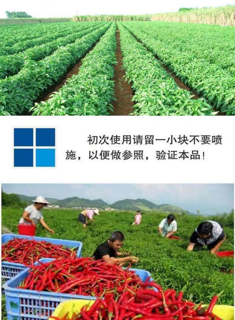 辣椒增产肥料保花保果保叶三不落膨大拉直素灵增长辣椒专用