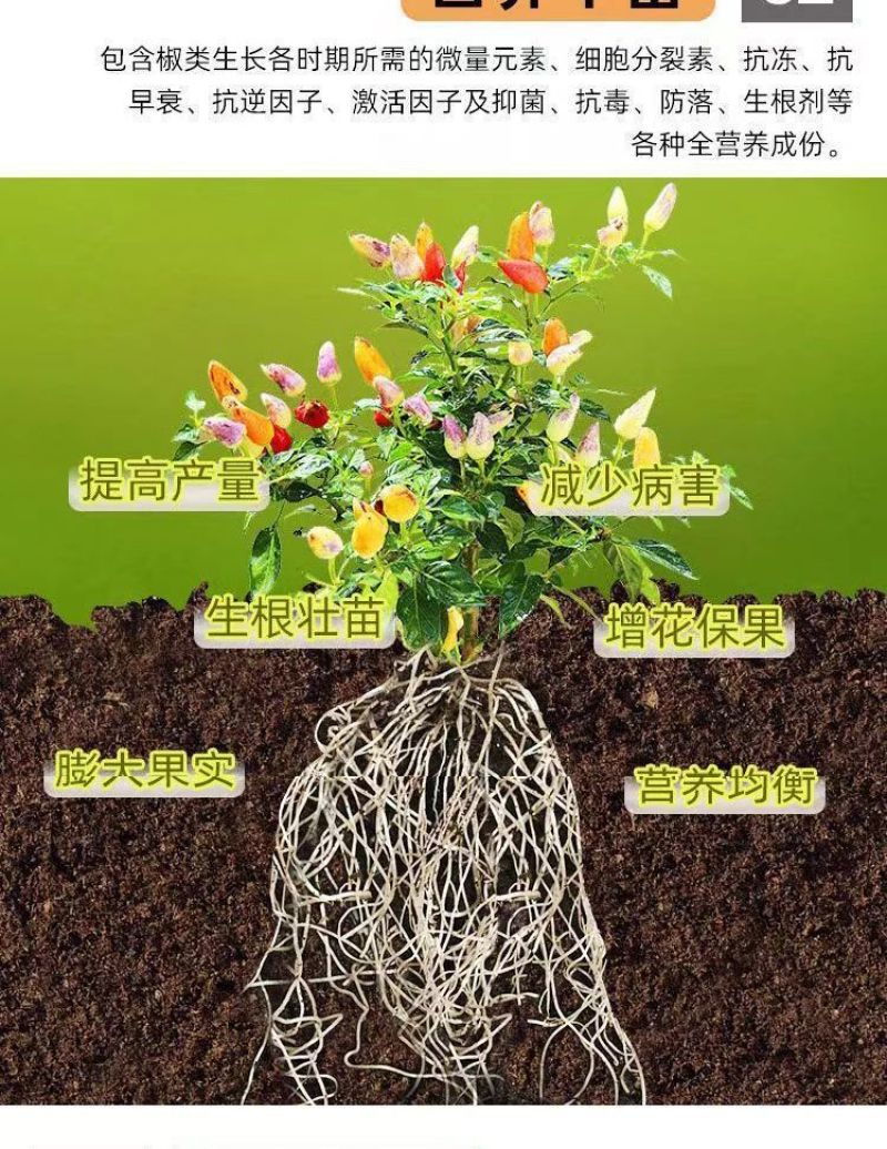 辣椒增产肥料保花保果保叶三不落膨大拉直素灵增长辣椒专用