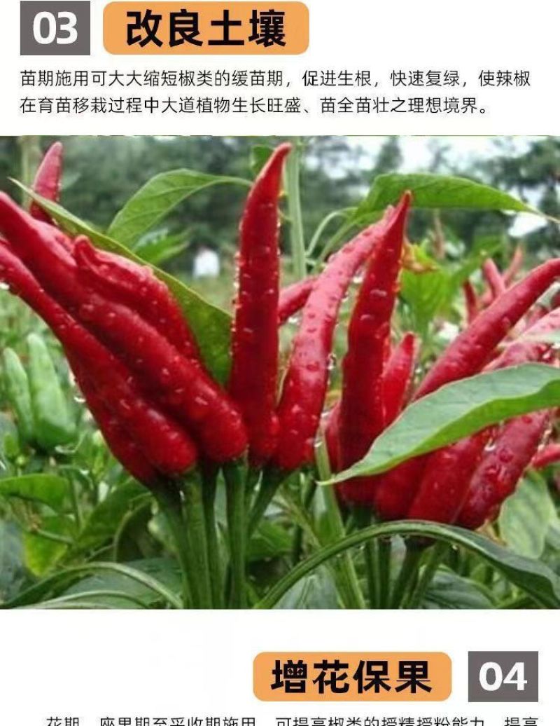 辣椒增产肥料保花保果保叶三不落膨大拉直素灵增长辣椒专用
