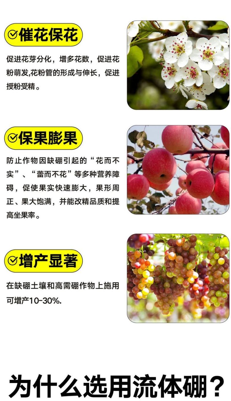 流体硼正品硼肥液体硼水溶硼肥果树肥叶面肥保花保果微量元素