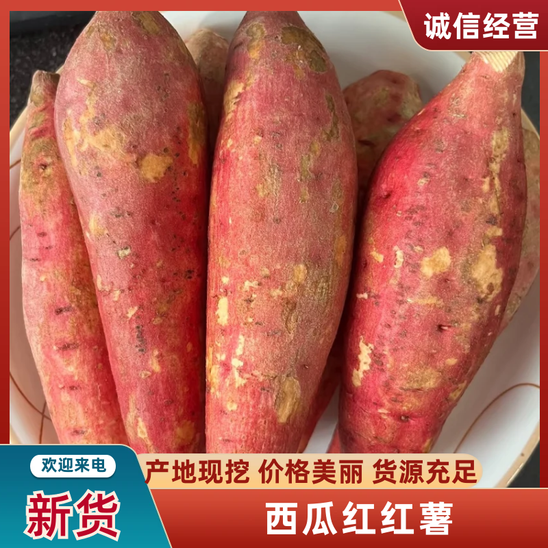 西瓜红精品西瓜红红薯大量供应货源充足品质保证