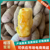 山东榴莲蜜薯山东红薯货源充足产地直发质优价廉